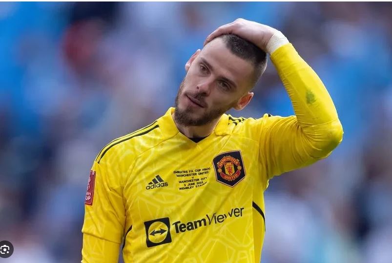 De Gea đã thất nghiệp suốt hơn 1 năm kể từ ngày rời United